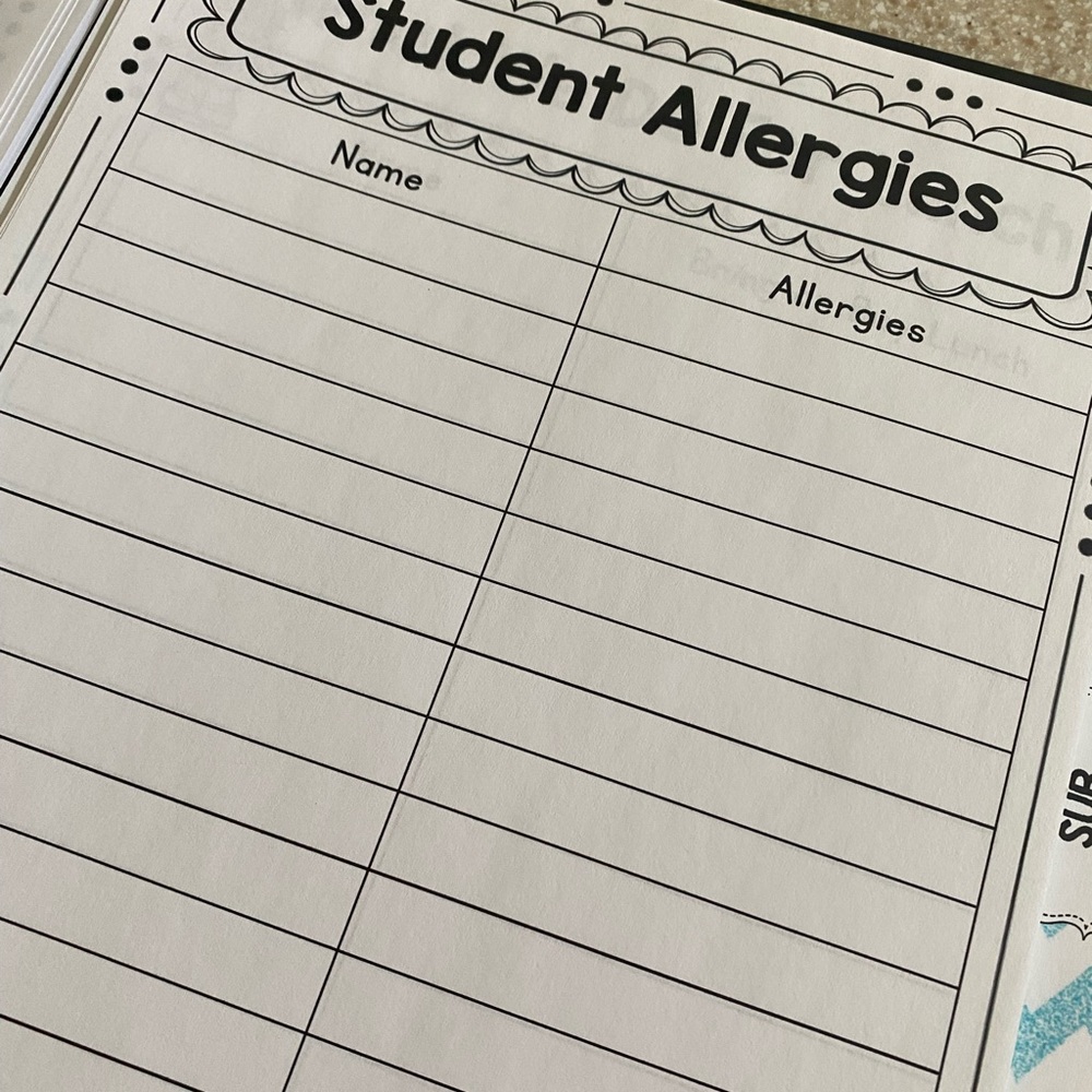 TEACHER GRAB BAG Substitute Teacher Binder - Picture 8 of 15